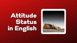 attitude status in English