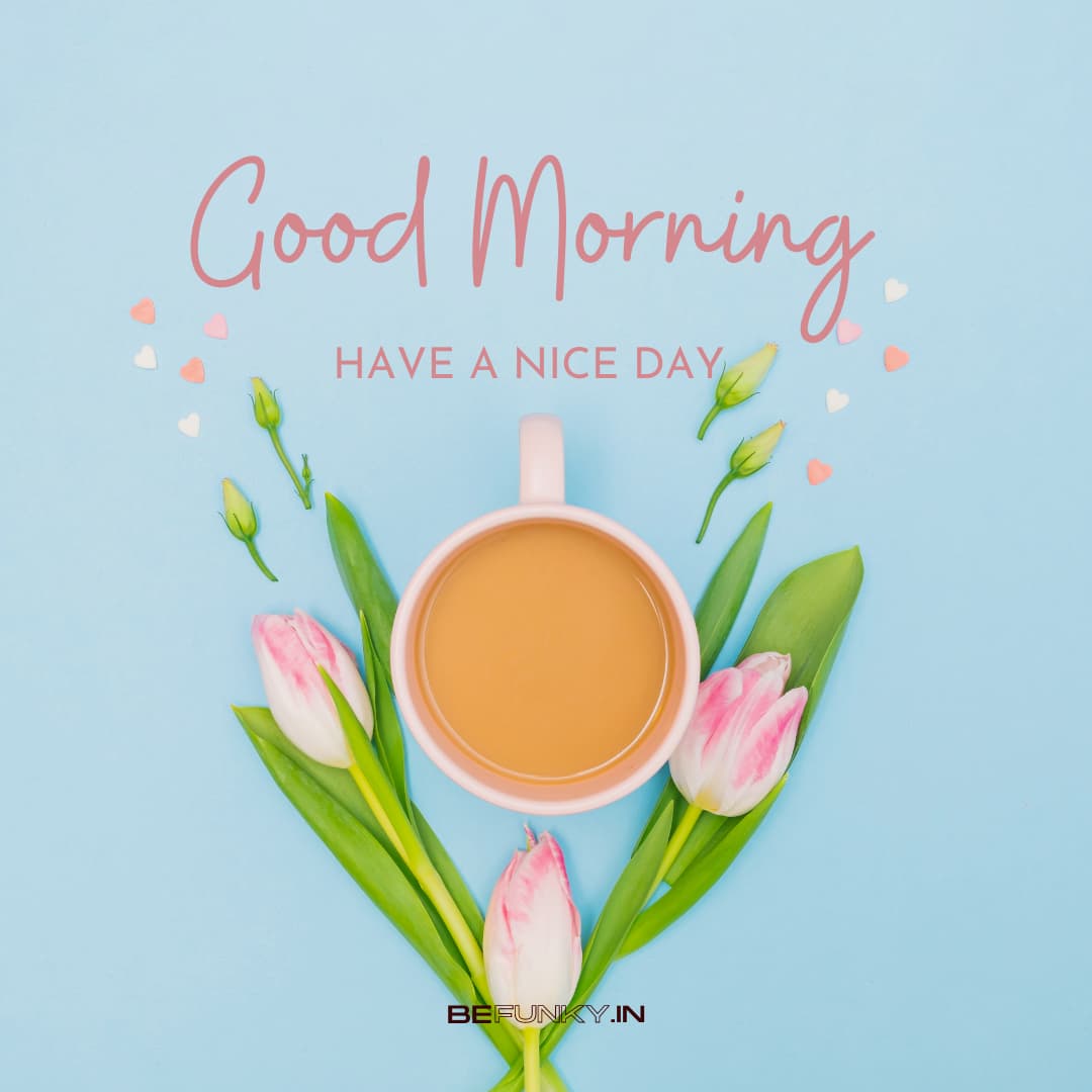 Good morning tea and flower image