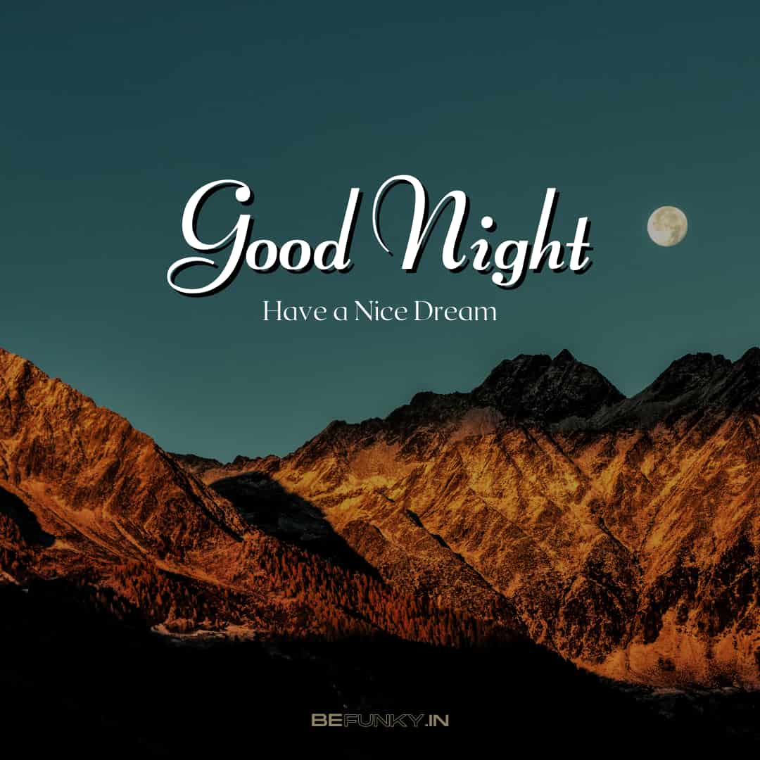 good night - have a nice dream