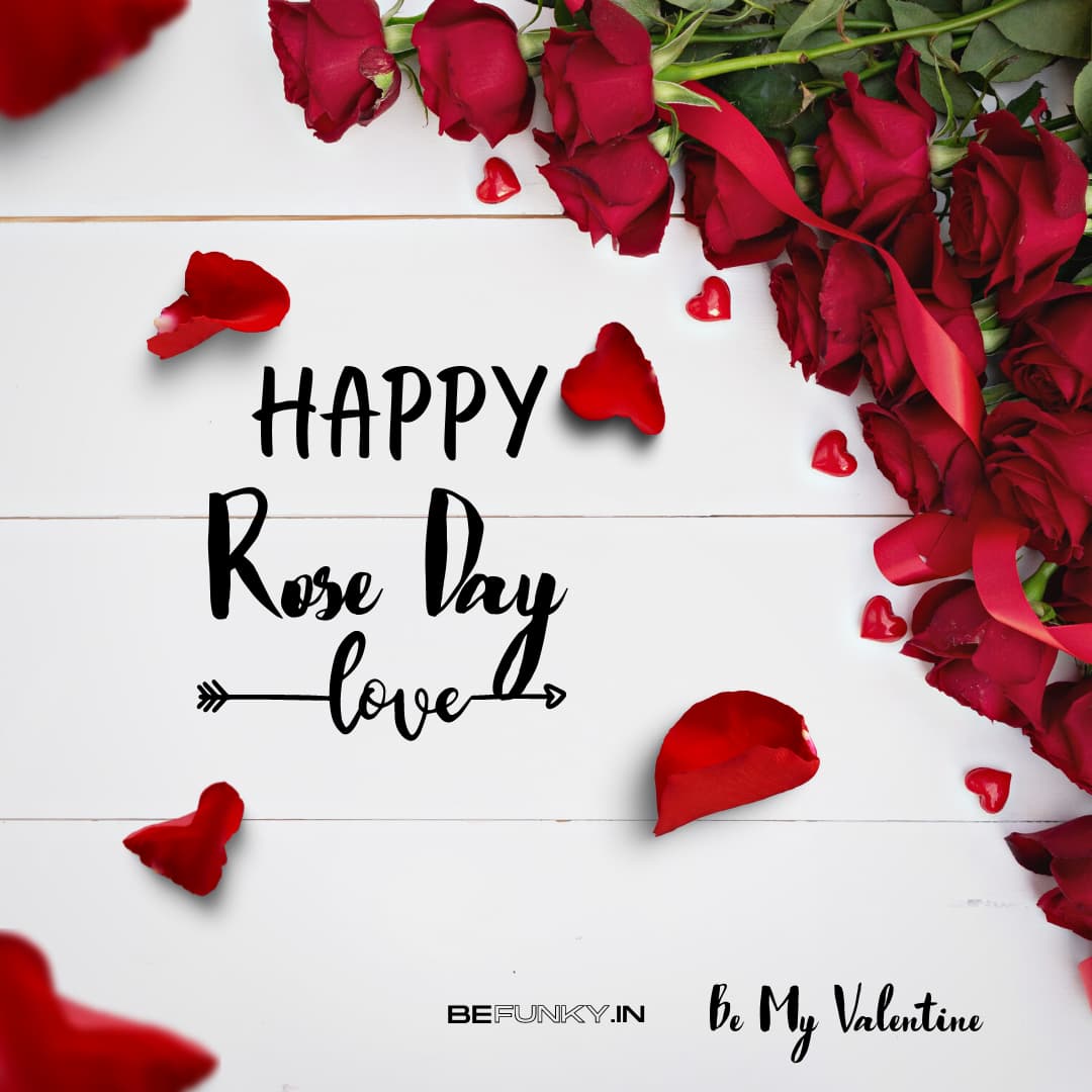 Happy Rose Day Greetings