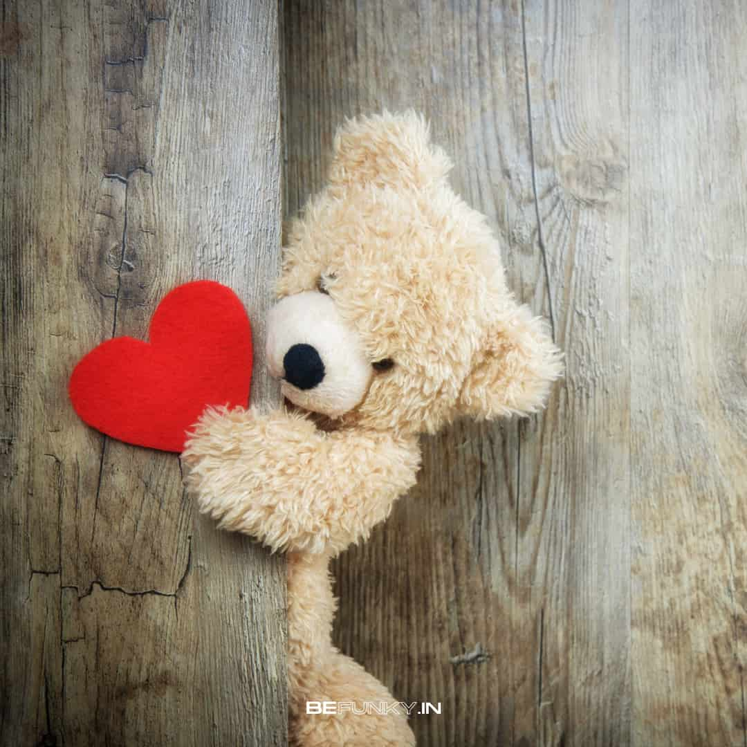 happy teddy day image