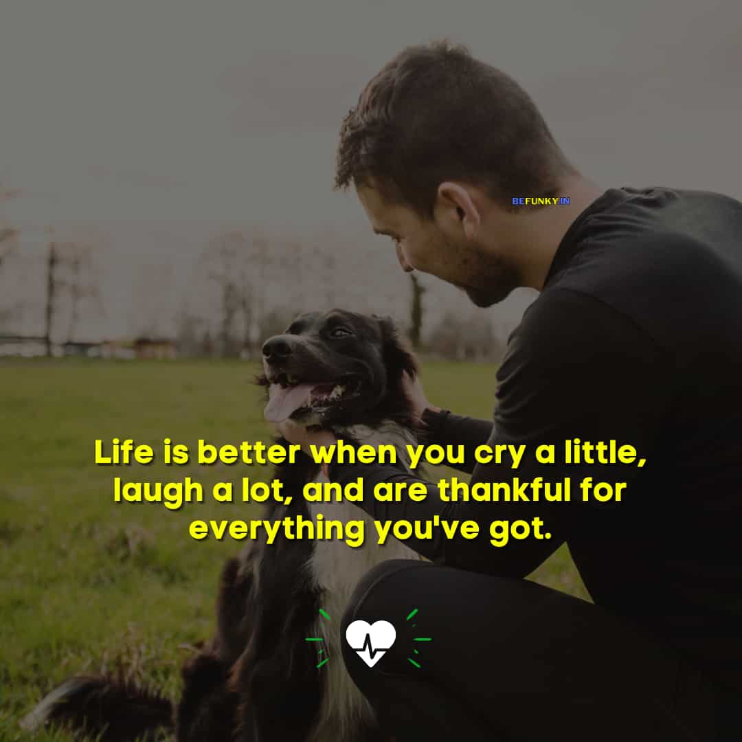 Unique Life Quotes: Life is better when you cry a little, laugh a lot, and are thankful for everything you've got.