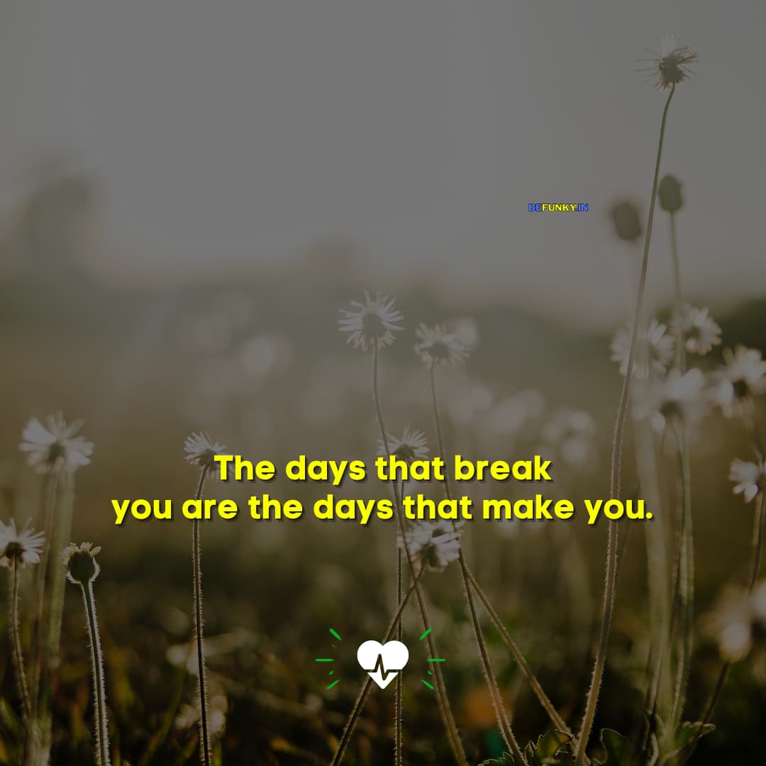 Quotes on Life Lessons: The days that break you are the days that make you.