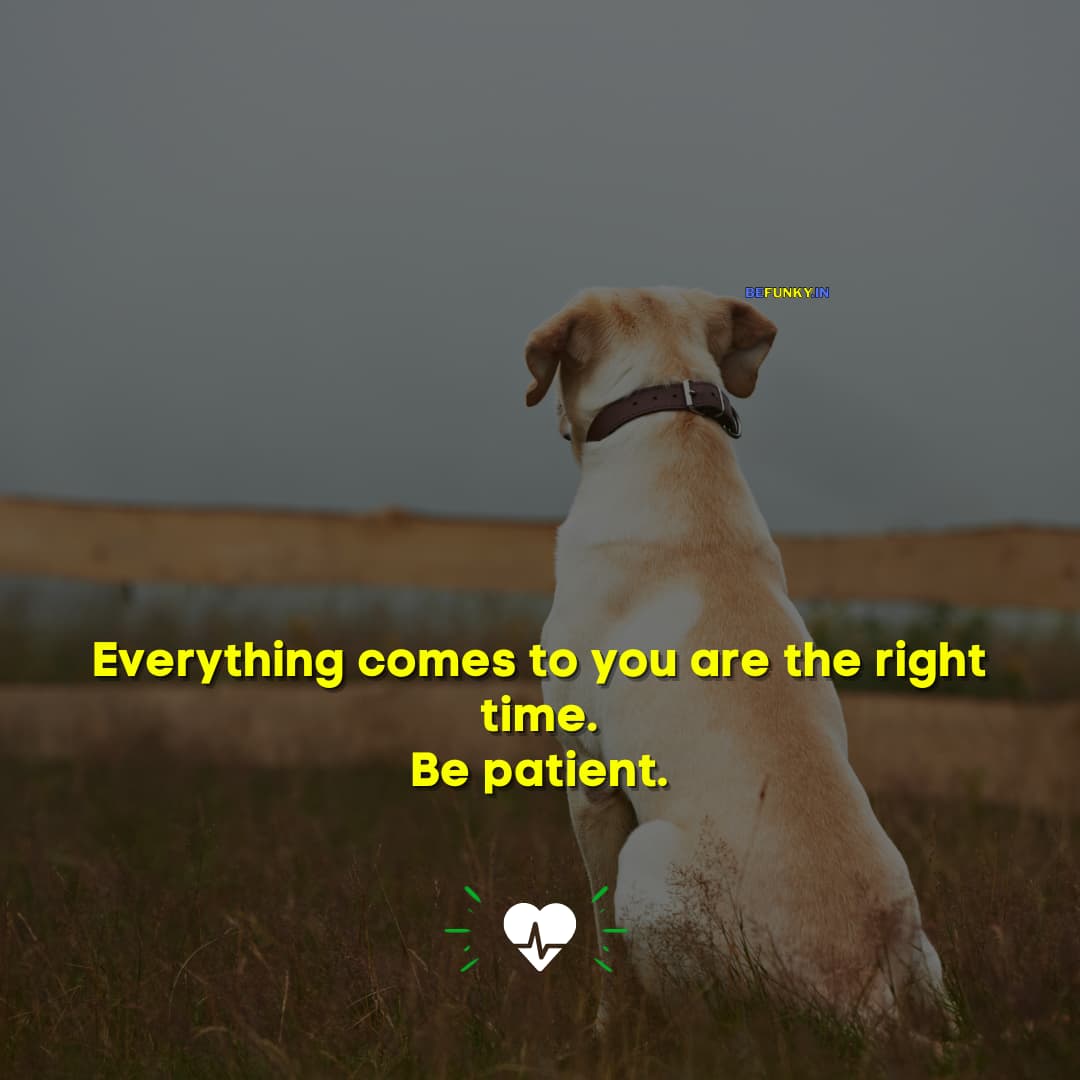 Quotes on Life Lessons: Everything comes ot you are the right time. Be patient.