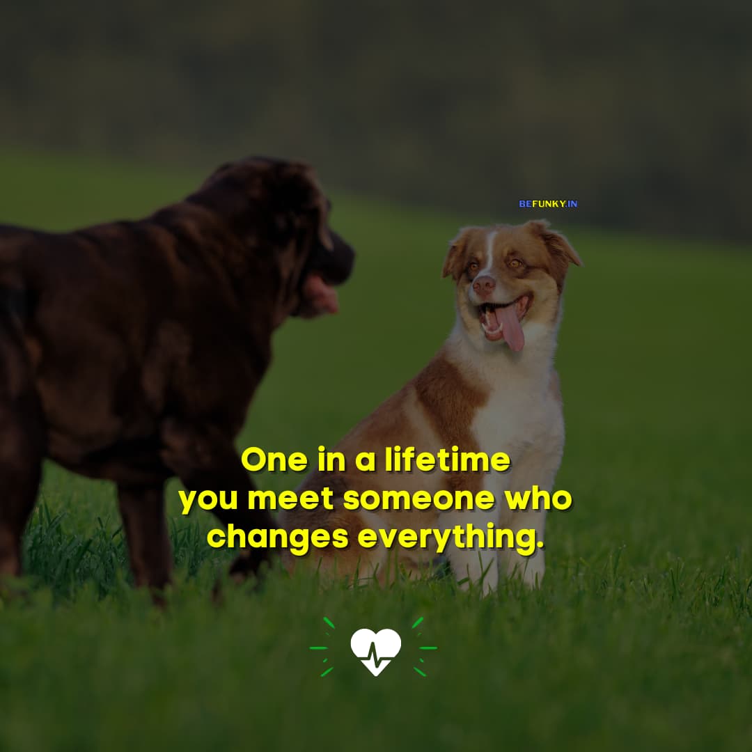 Sweet Life Quotes: One in a lifetime you meet someone who changes everything.