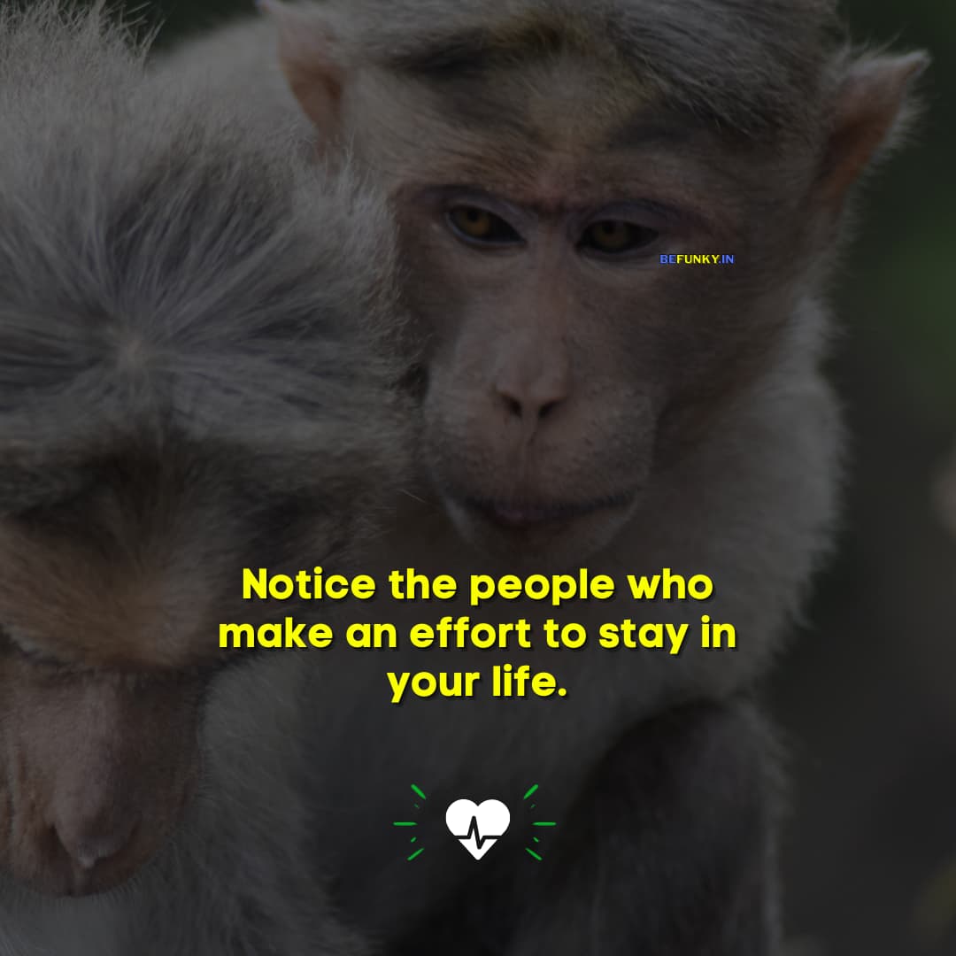 Life Quotes in English: Notice the people who make an effort to stay in your life.