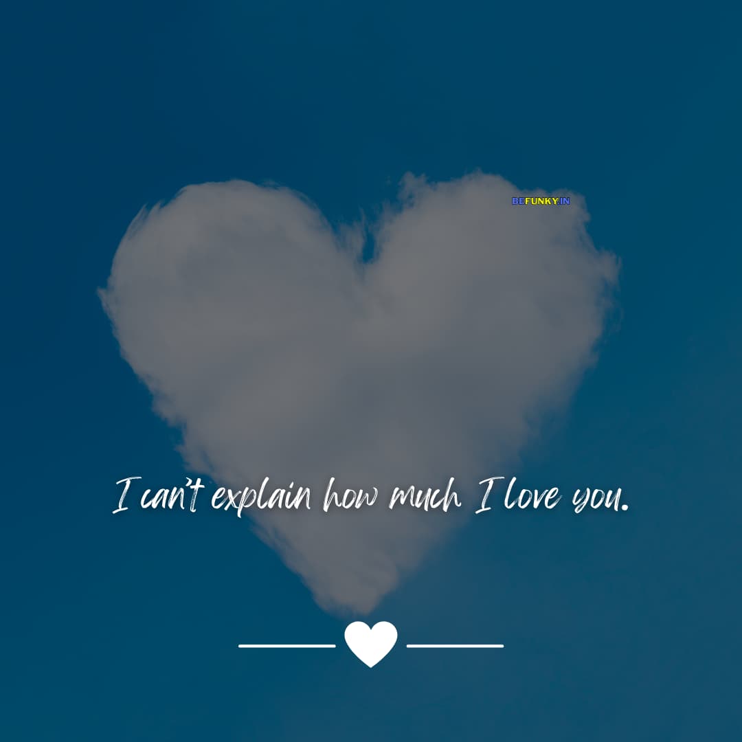 I Love You Quotes: I can't explain how much I love you.
