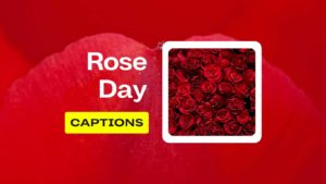 rose day captions