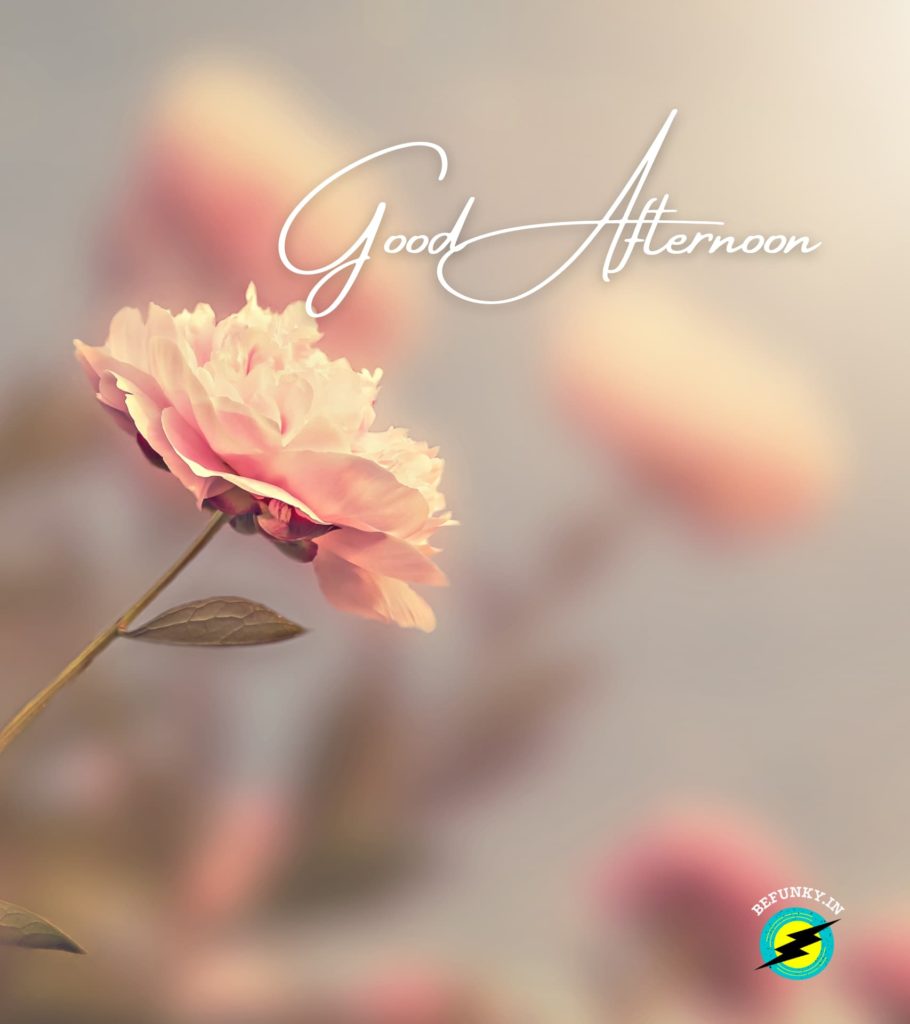 Good Afternoon Images HD