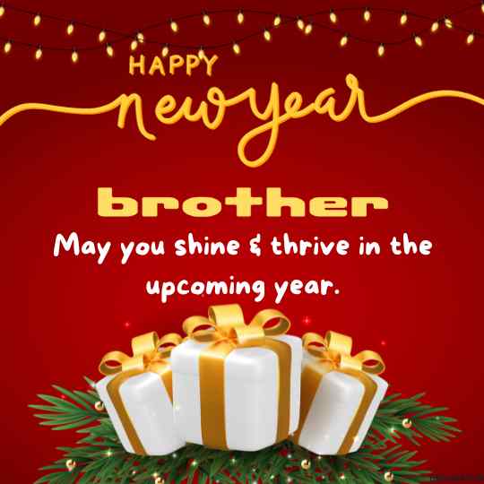 happy new year brother wishes