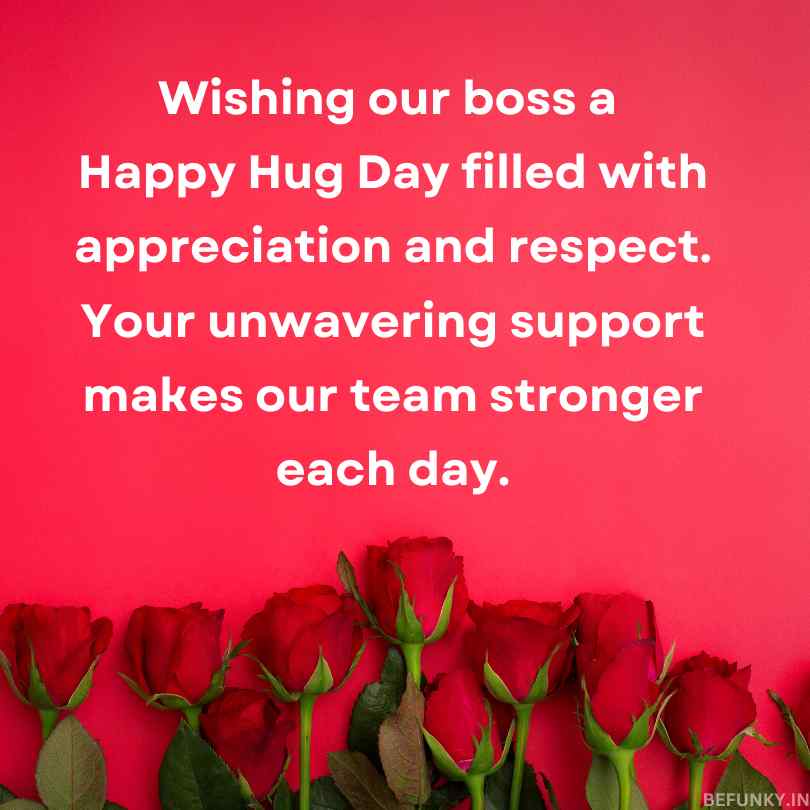 hug day wishes for boss.